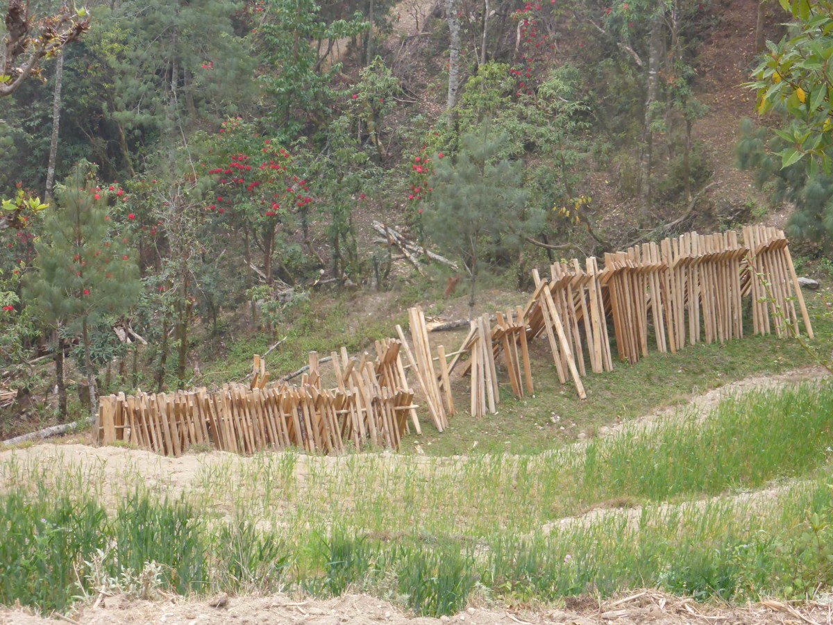 Holz für den Wiederaufbau